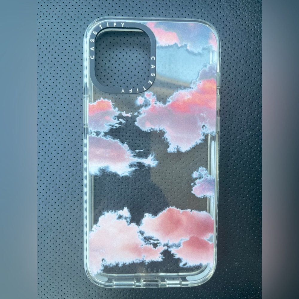 IPhone 12 Pro Max Case by Casetify